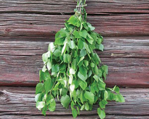 Vihta, ei vasta